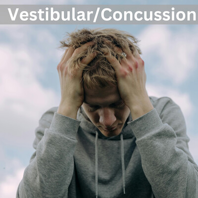 Link to: https://www.physioharder.ca/services/vestibular-concussion-therapy