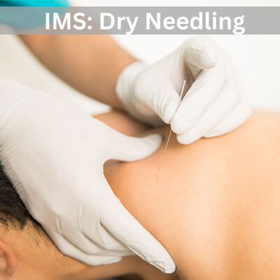 Link to: https://www.physioharder.ca/services/ims-dry-needling
